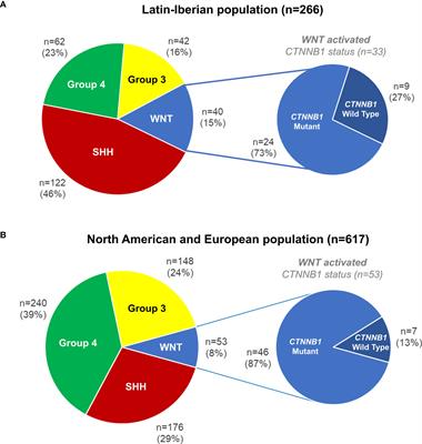High frequency of WNT-activated medulloblastomas with CTNNB1 wild type suggests a higher proportion of hereditary cases in a Latin-Iberian population